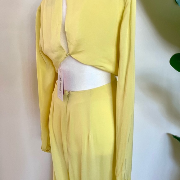 The Wolf Gang Silk Dress - Picture 4 of 4